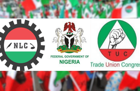NLC-FG-and-TUC