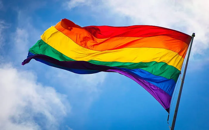 LGBTQ-flag