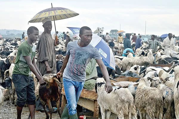 Ram buying for sallah