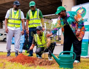 Sanwo-Olu initiating tree planting campaign