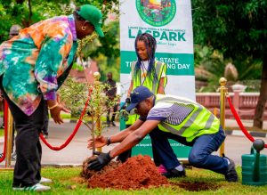 Sanwo-Olu planting tree