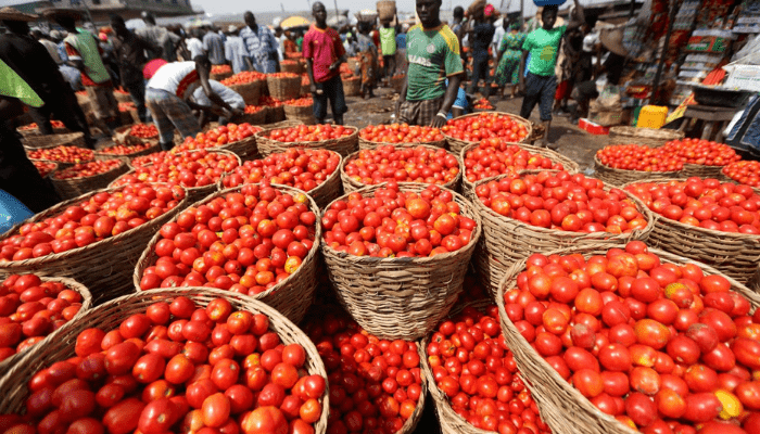 Baskets of tomatoes