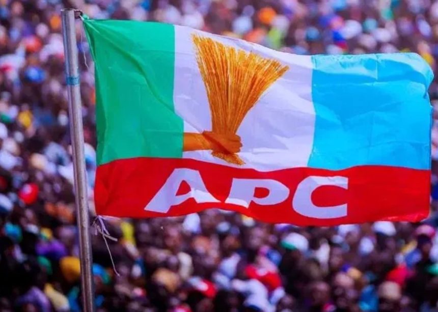 APC Flag