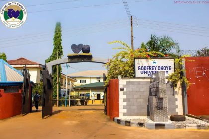 Godfrey Okoye University