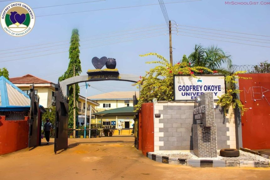 Godfrey Okoye University