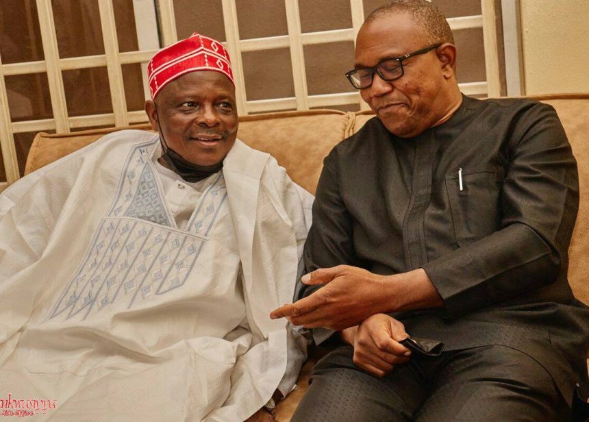 Rabiu Kwankwaso and Peter Obi